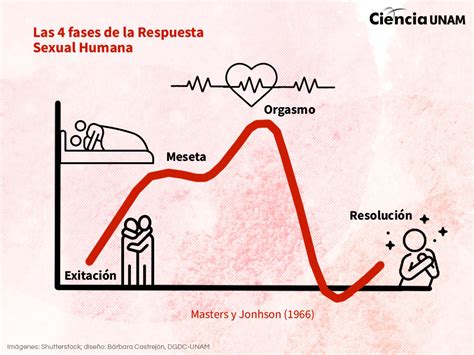 Orgasmo La Anhelada Culminaci N De La Interacci N Sexual