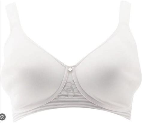 Breezies Floral Stripe Seamless Underwire T Shirt Bra White 34B