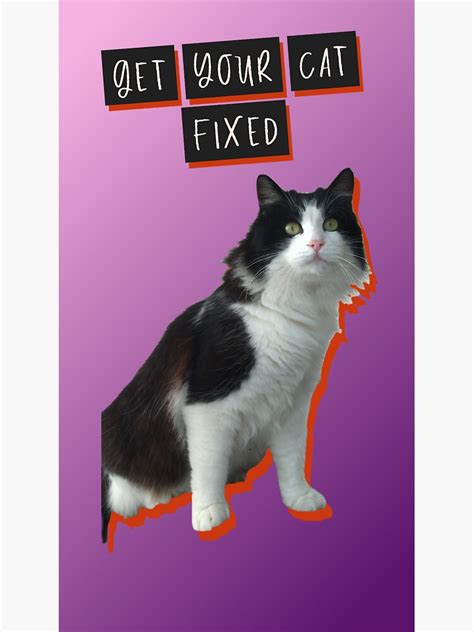 Get Your Cat Fixed Number Two Sticker For Sale By Creangat Redbubble