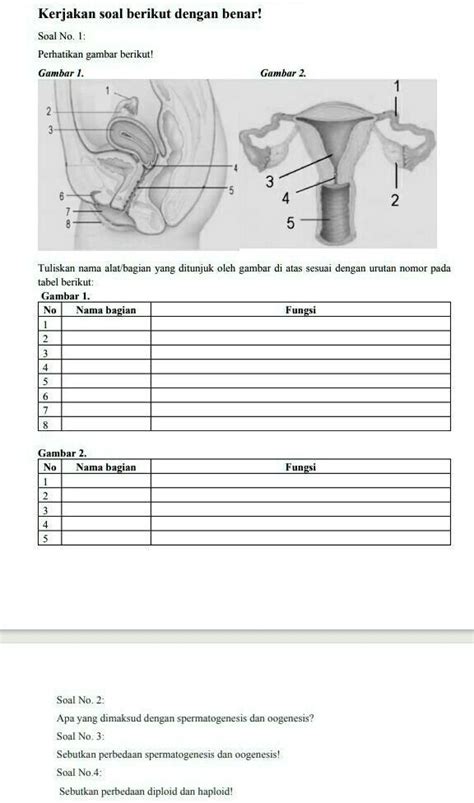 Tuliskan Nama Alat Bagian Yang Ditunjuk Oleh Gambar Di Atas Sesuai