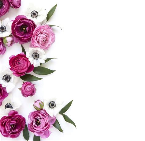 Terbaru 10 Wallpaper Bunga Bunga Pink Gambar Bunga Indah
