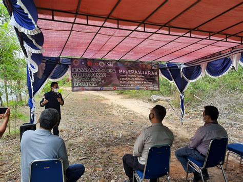 Lagi Sinergi BKSDA SUMSEL Dengan Para Pihak Lepasliarkan Musang Pandan