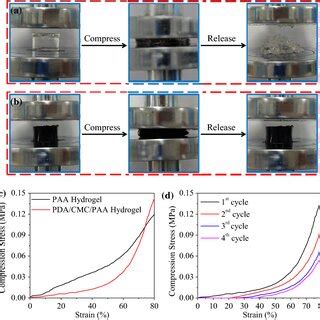 Mass Changes Of Pda Cmc Paa Hydrogel On The Naked Skin Of Mouse