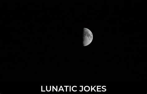 53 Lunatic Jokes And Funny Puns Jokojokes