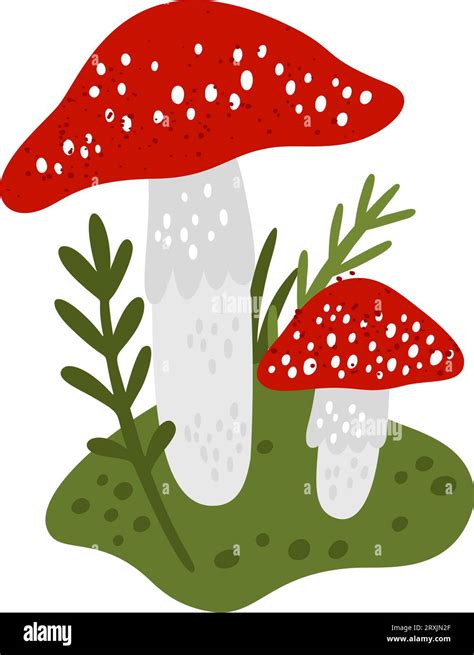 Forest Mushroom Fly Agaric Woodland Nature Poisonous And Toxic Fungi