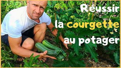 R Ussir La Courgette Au Potager Youtube