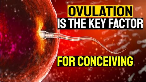 Mastering Ovulation A Complete Guide To Conceive Easily Track Your