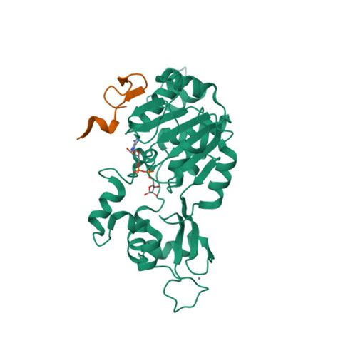 RCSB PDB 4IF6 Structure Of NAD Dependent Protein Deacetylase Sirtuin