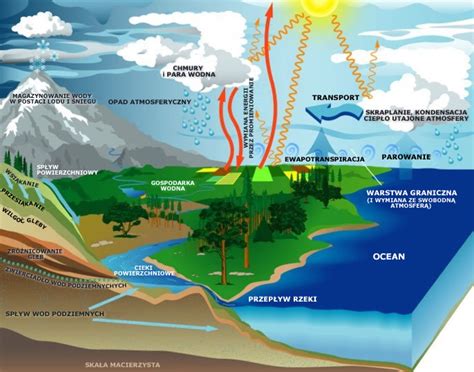 Obieg Wody W Przyrodzie Potrzebne Od Zaraz Bo Na Jutro Brainly Pl