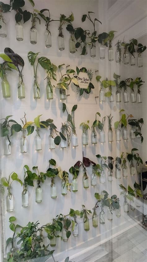 Propagation Wall Room With Plants Plant Decor Indoor Plant Decor