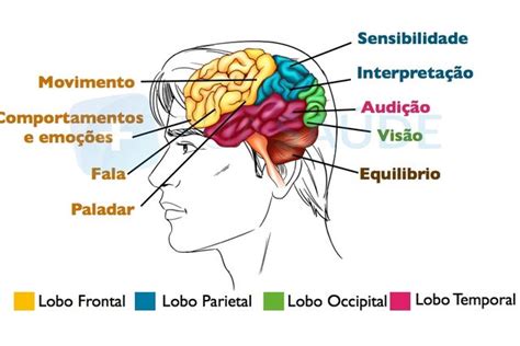 Saiba O Que Pode Acontecer Depois De Ter Um Avc Tua Saúde