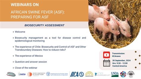 Webinars On African Swine Fever Asf Preparing For Asfbiosecurity Assessment Youtube