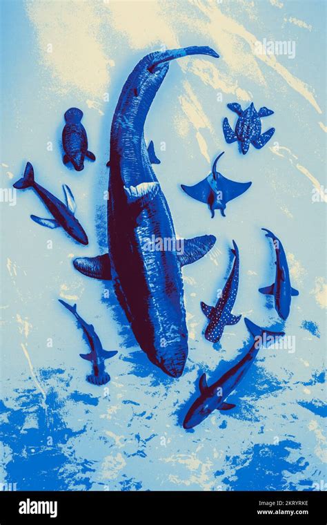 Creative Marine Scene On A Pod Of Wild Sea Creatures From Up Above
