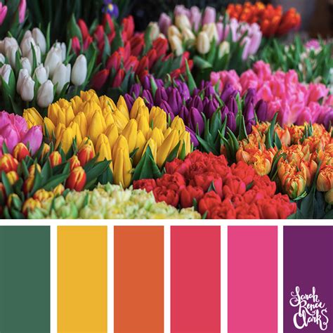 Floral Color Palettes Color Catalog Color Palette Bright Color