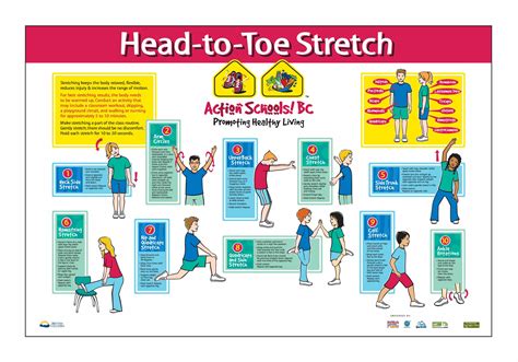 Action Schools Bc Head To Toe Stretch Poster School Physical