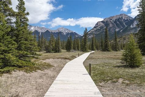 Nordegg Hiking Guide- Hikes Near Nordegg and Abraham Lake