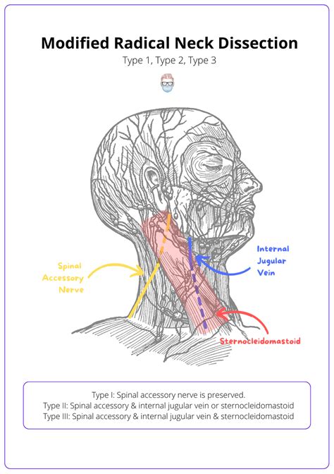 Central Neck Dissection Technique