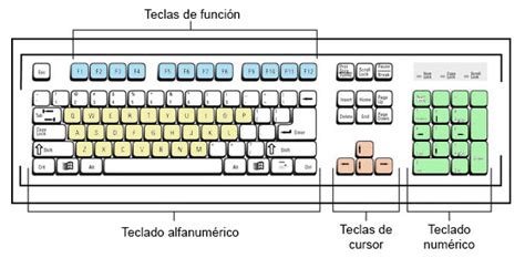 Guía Completa sobre los Diferentes Tipos de Teclados Explicación Sencilla