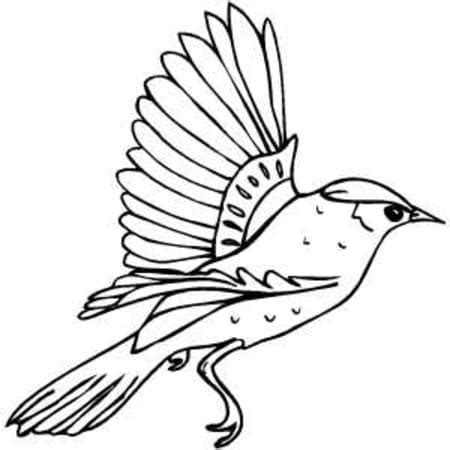 Coloriage Un Oiseau Qui Vole T L Charger Et Imprimer Gratuit Sur