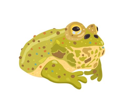 Premium Vector Frog Vector Cute Isolated Illustration Of Reptile