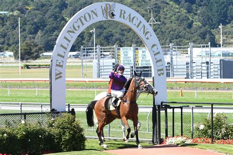 New Zealand Thoroughbred Racehorse Owners Federation