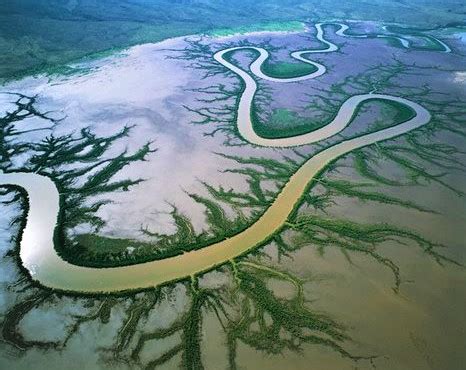 Hydrobiology representation on the Australian Water School (AWS ...