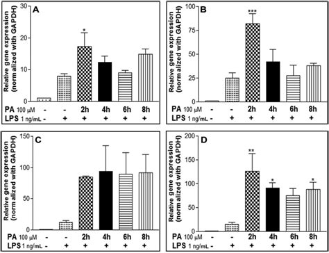 Effects Of Pa Pre Incubation Time On Pro Inflammatory Cytokine Gene