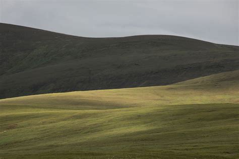 Image from Wildland
