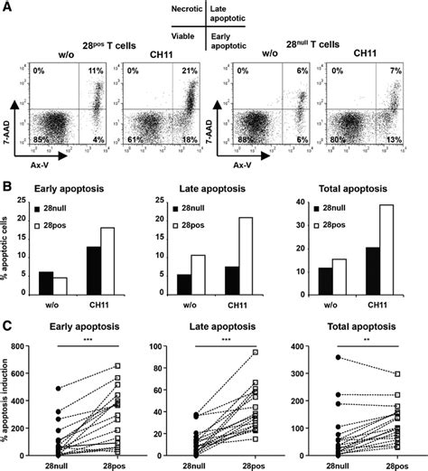 Cd Cd Null T Cells From Acs Patients Display Reduced Apoptosis In