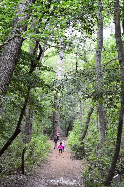 20 Outdoor Things To Do With Kids This Summer - created by v.