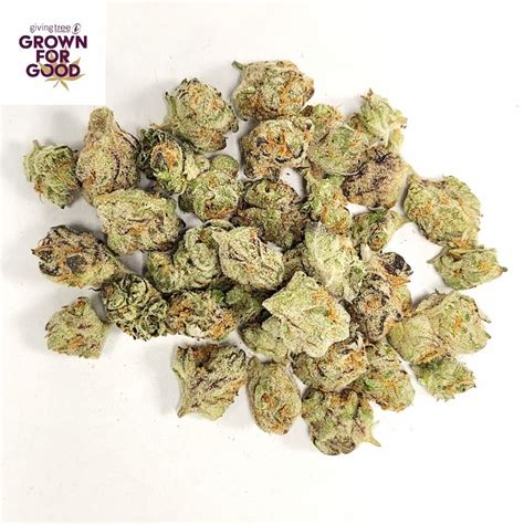 Kimbo Kush A Heavyweight Indica Dominant Hybrid Giving Tree Dispensary North Phoenix