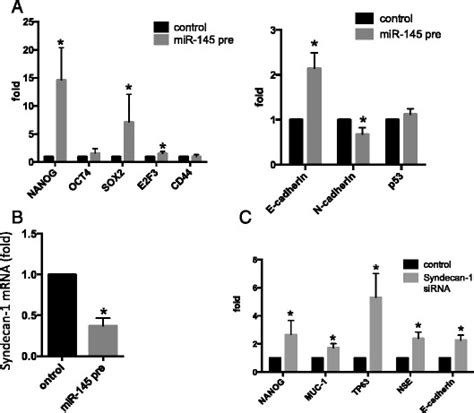 RNA Expression Of Stem Cell Markers SOX2 NANOG Oct4 And E2F3 Was