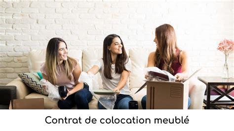 Contrat De Colocation Meublé Contrat De Bail De Location