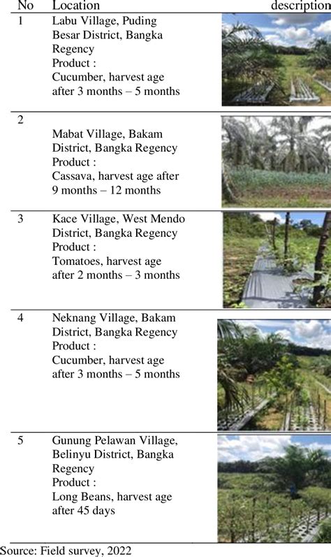 Results Of Identification Of Intercrops In Smallholder Oil Palm