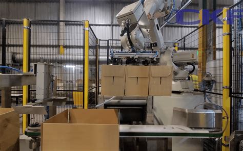 Ckf Supply Their Latest Robotic Case Packing System To Pl