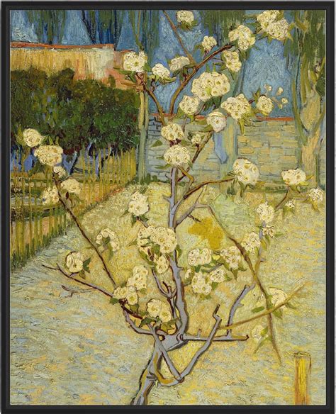 Avoi Van Gogh Art Print Poster Small Pear Tree In Blossom Vincent Van