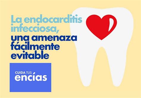 Pdf La Endocarditis Infecciosa Una Amenaza F Cilmente Evitable