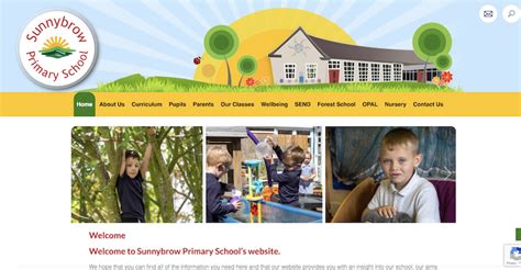 Sunnybrow Primary School Co Curate