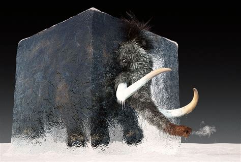 Will Woolly Mammoth Cloning Ever Be A Reality