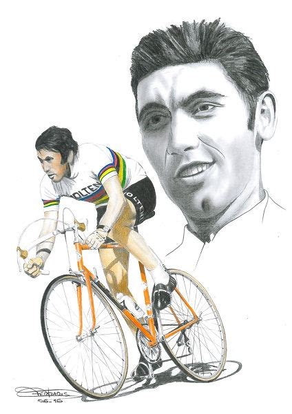 Eddy Merckx Dfe Diffusion