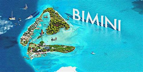 From Miami Bimini Bahamas Day Trip By Ferry GetYourGuide