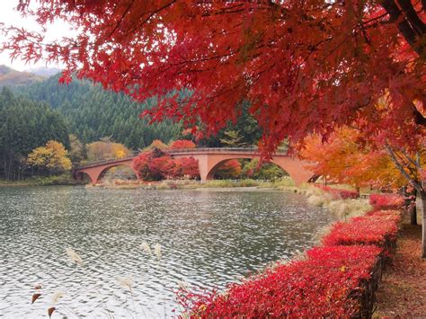 【全国紅葉の絶景】秋色に染まる山々に憩う、群馬県の紅葉人気スポット Tabizine～人生に旅心を～