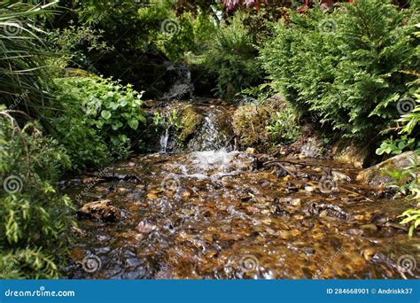 Smalls Brook Waterfall A Small Waterfall In The Forest Stock Image