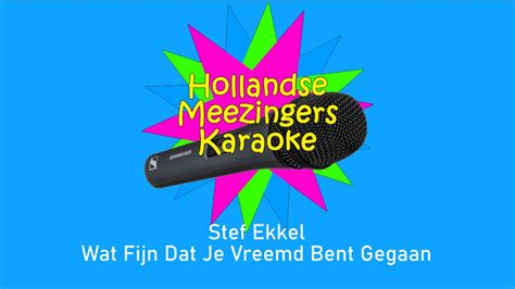 Stef Ekkel Wat Fijn Dat Je Vreemd Bent Gegaan Karaoke YouTube