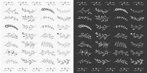 Premium Vector Hand Drawn Floral Elements Set