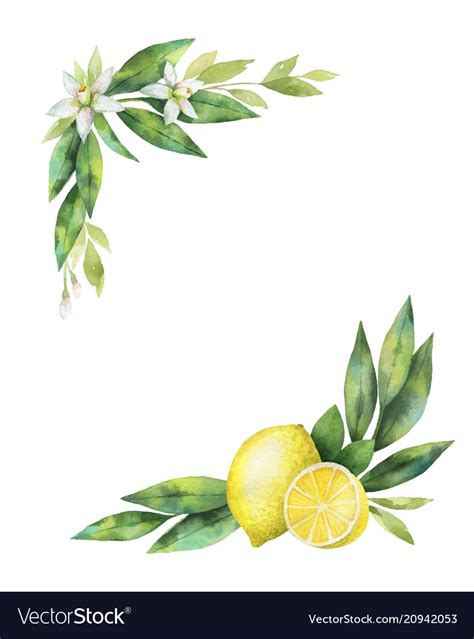 Watercolor Hand Drawn Wreath With Lemon Royalty Free Vector