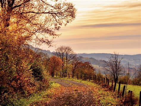 Indian Summer im Vogelsberg | Vogelsberg-Blog