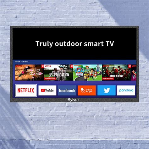 Best Outdoor TVs (Updated 2022)