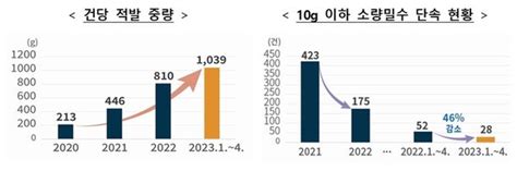 올해 4월까지 마약 밀수 적발량 213kg 역대 최대 네이트 뉴스