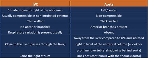 Do Not Mistake Aorta For The Ivc Nephropocus